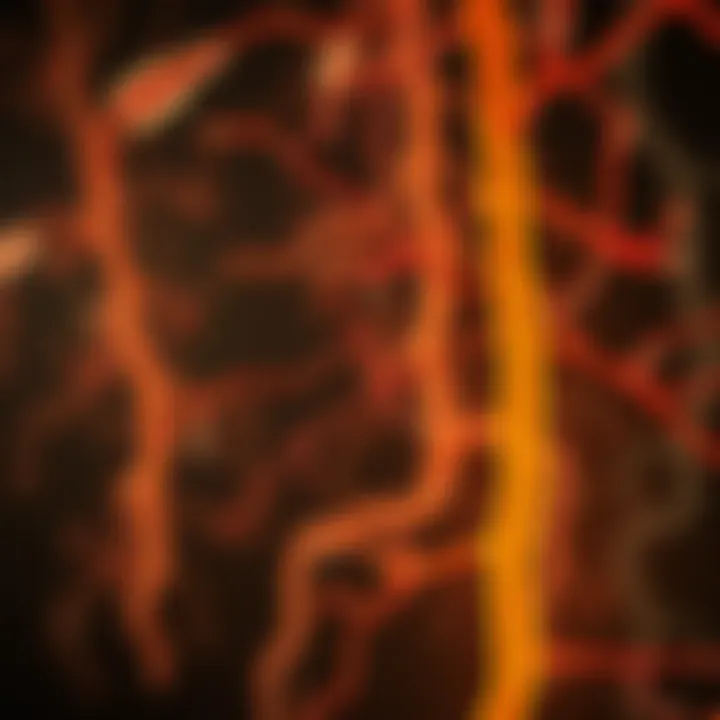 Hormonal pathways involved in fertility