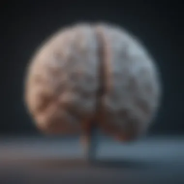 Brain Connectivity in FDS Diagram illustrating brain connectivity