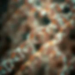 Intricate genetic pathways involved in liver diseases