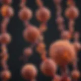 Diagram illustrating key genetic mutations linked to leukemia.