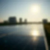 Solar panels reflecting sunlight on a tech campus