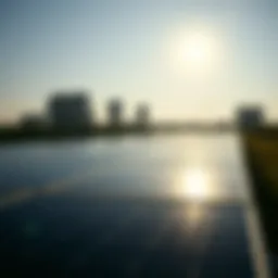 Solar panels reflecting sunlight on a tech campus