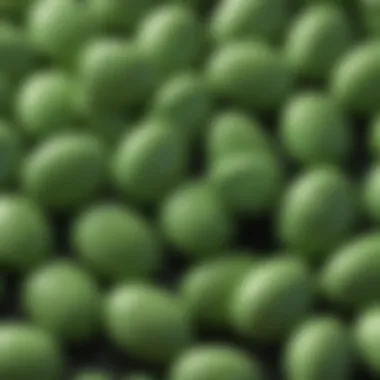 Close-up of green mamba pills highlighting their texture and form