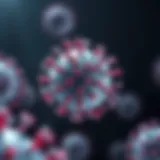 Illustration of HHV-6 viral structure