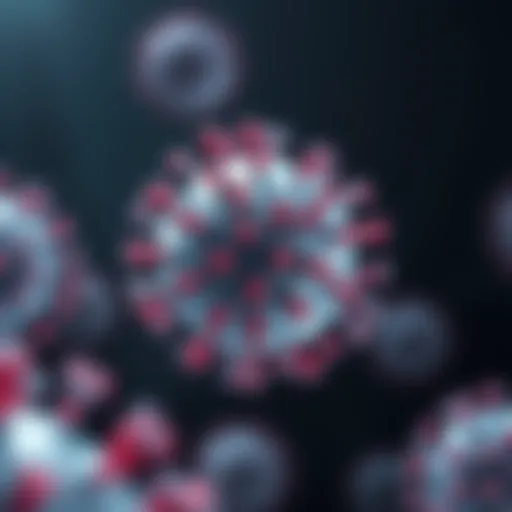 Illustration of HHV-6 viral structure