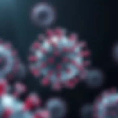 Understanding HHV-6 Structure Illustration of HHV-6 viral structure