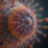 Lentivirus vector structure illustration