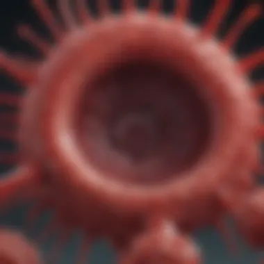 Microscopic Blood Clot Structure Microscopic view of a blood clot, highlighting cellular components and fibrin structure.