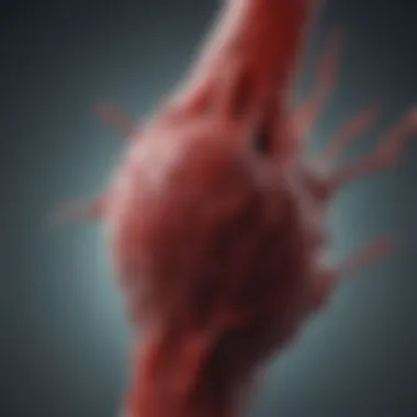 Blood Clot in a Vessel Visual representation of a blood clot in a vessel, showcasing its texture and color variations.