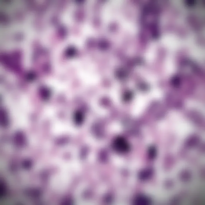 Challenges and Innovations in Immunohistochemistry Visual display of challenges and innovations in IHC technology