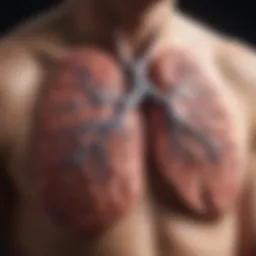Illustration showing the lungs affected by COPD