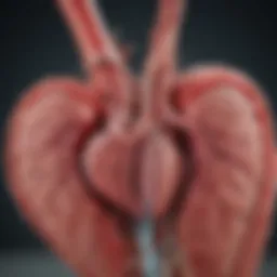 Illustration depicting the intricate anatomy of coronary arteries