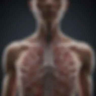 Transmission routes of tuberculosis