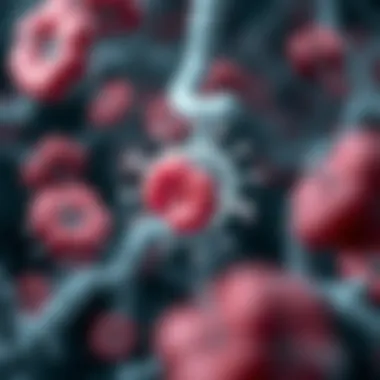 BCG therapy action mechanism