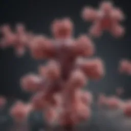 Illustration of IgE antibody structure highlighting its role in allergic reactions