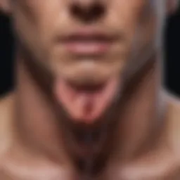 Anatomical diagram illustrating the male anatomy and penile structure.