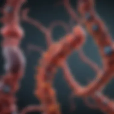 Graphic representation of Kras mutations and their impact on cellular pathways