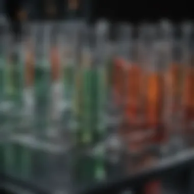 Notable Luciferase Assay Protocol for 96-Well Plates