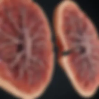 Research findings on lung cancer prognosis