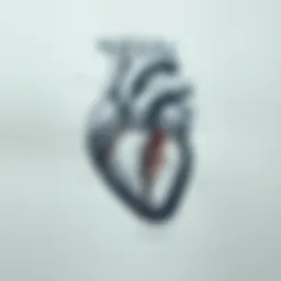 Anatomical drawing showcasing the intricacies of the human heart
