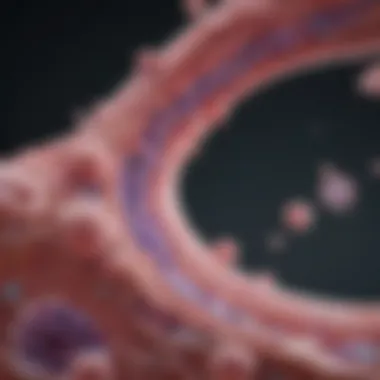 Cellular Migration Mechanisms in Metastasis Illustration of breast cancer cells migrating to the jawbone