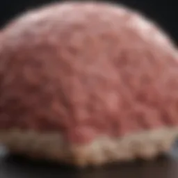 Graph illustrating survival rates in metastatic SCC