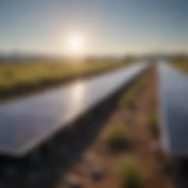 Solar panels in a field