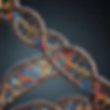 Molecular Foundations of DNA Diagram depicting the molecular components of DNA