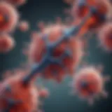 Structure of monoclonal antibodies