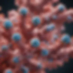 A detailed illustration of monoclonal antibody structure