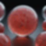 Overview of mouse embryonic stem cell culture techniques