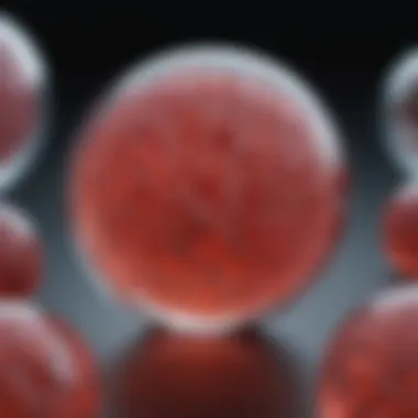 Overview of mouse embryonic stem cell culture techniques