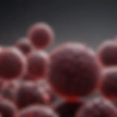 Global Prevalence of Multiple Myeloma Global prevalence of multiple myeloma