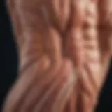 Illustration depicting muscle atrophy in diabetic conditions