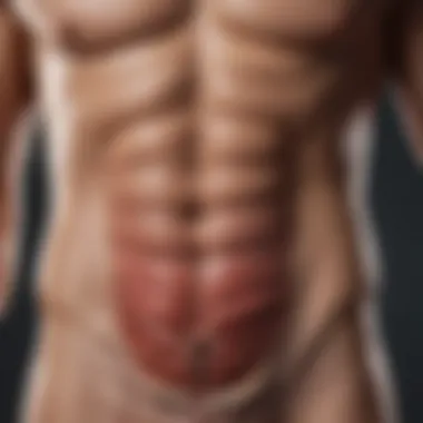 Diagram showing the impact of insulin resistance on muscle health