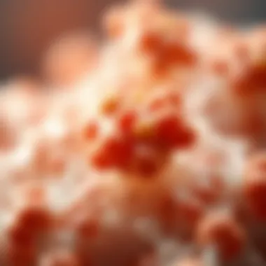 Natural Polymers and Their Origins Natural polymers derived from biological sources