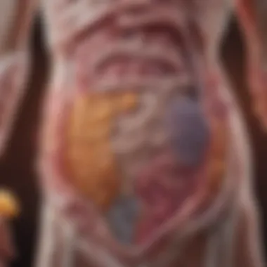 Close-up of a gut microbiome illustration showcasing beneficial bacteria
