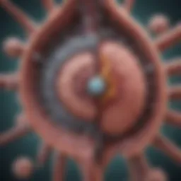 A detailed diagram illustrating the mechanisms of ovarian cancer recurrence in the liver