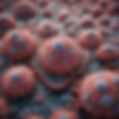 Microscopic View of Peritoneal Cancer Cells Visual representation of peritoneal cancer cells under a microscope
