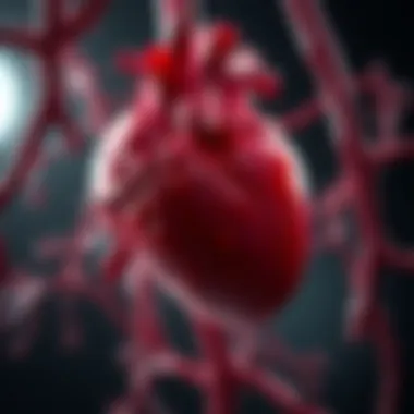 Clinical manifestations of polycythemia vera