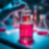 Visualization of DNA extraction methods