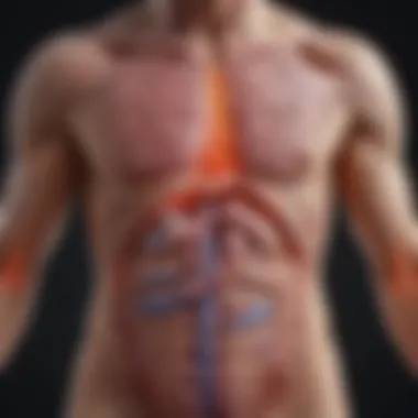 Pathways of Stomach Cancer Metastasis Detailed infographic illustrating the pathways of stomach cancer metastasis
