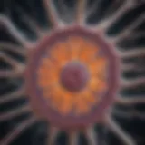 Neuronal degeneration shown in a cross-section of spinal cord tissue