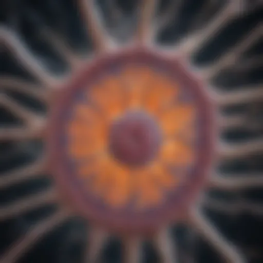 Neuronal degeneration shown in a cross-section of spinal cord tissue