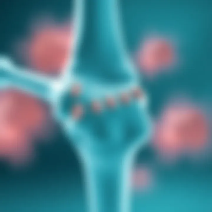Understanding Prolia's Mechanism in Osteoporosis and Beyond Representation of Prolia's mechanism of action in bone density improvement