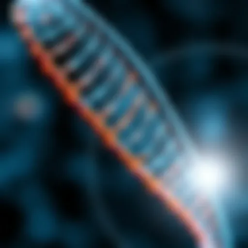 A close-up of a DNA double helix representing advancements in genetics.