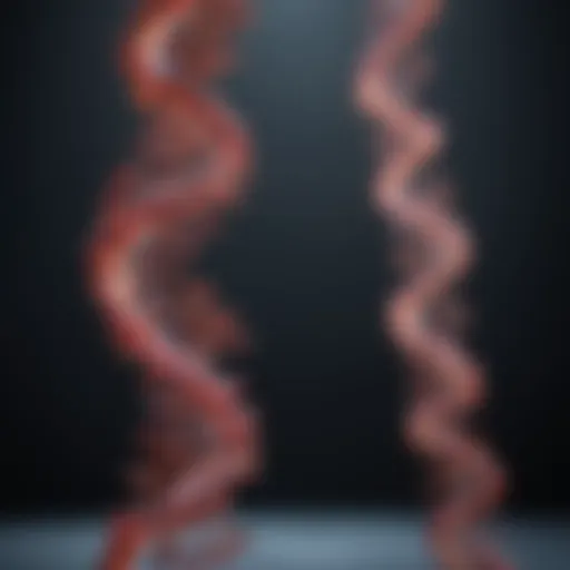 High-Resolution Visualization of RNA Sequences