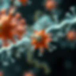 Mechanism of SGLT2 inhibitors in glucose regulation