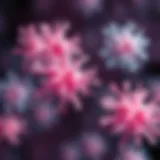 Representation of Streptococcus species in the vaginal microbiome