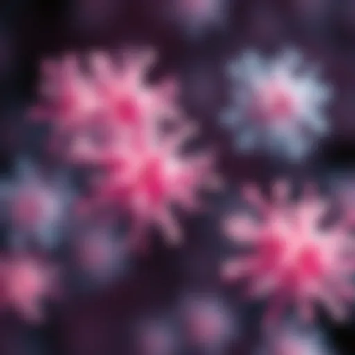 Representation of Streptococcus species in the vaginal microbiome